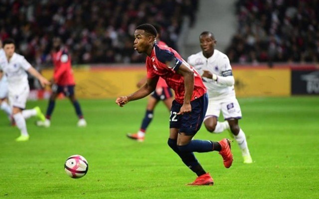 领域的信息 领域的信息